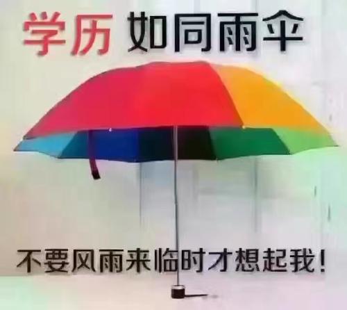 2019年宁波学历提升为什么这么热门？