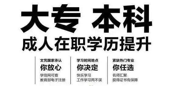 宁波成考本科如何报考