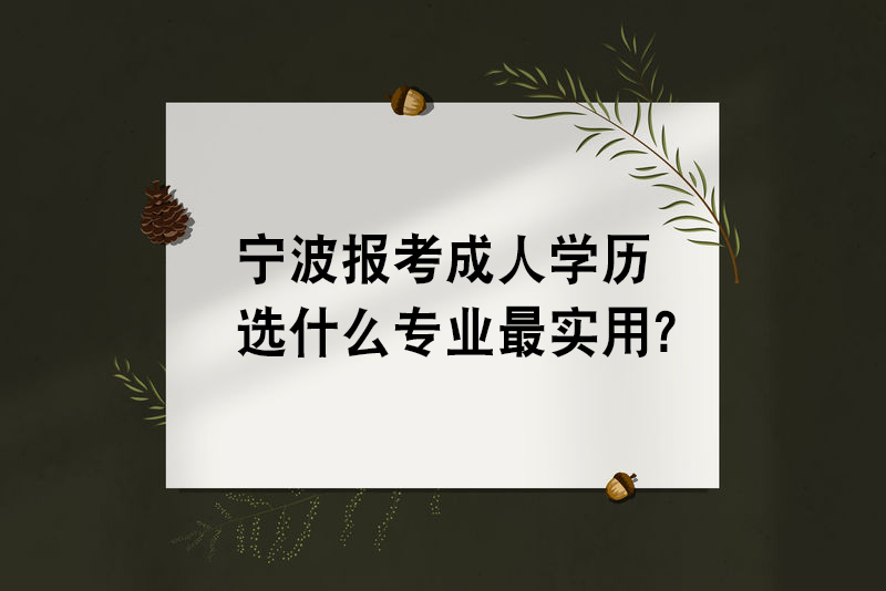 宁波报考成人学历选什么专业最实用？