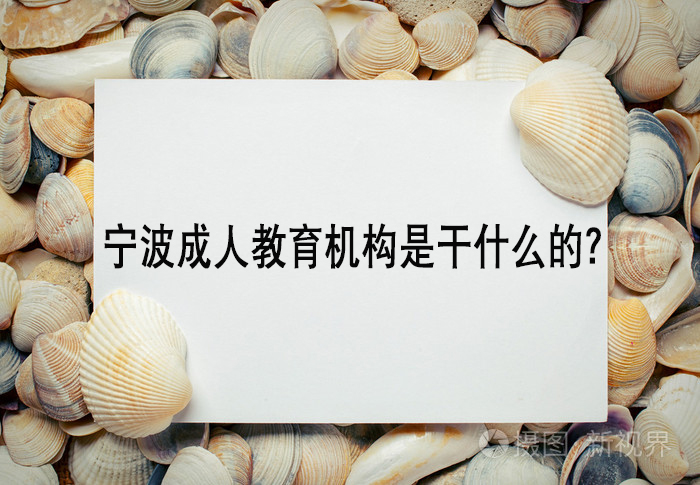 宁波成人教育机构是干什么的？